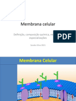 Membrana celular: composição, modelos e funções