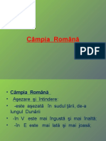 Câmpia Română