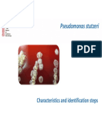 Pseudomonas Stutzeri: Characteristics and Identification Steps