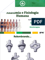 Aula 4 Anatomia e Fisiologia Humana