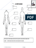 Le Corps Humain Activites Ludiques Dictionnaire Visuel Liste de Vo - 21346