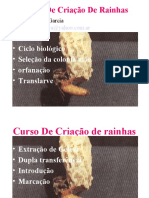 Curso de Criao de Rainhas