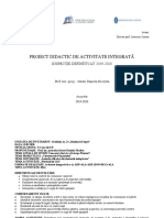 Proiect de Activitate DOS+DEC