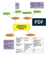 Concept Mapping