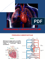 Sistema Cardiovascular 1