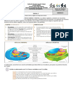 Guía No. 3 Celula Animal y Vegetal Ciclo 3