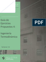 Guía de Ejercicios Propuestos Semanas 5-6