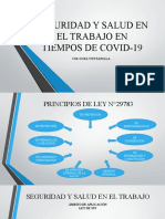 Seguridad y Salud en El Trabajo en Tiempos - Ugel V