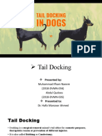 Tail Docking