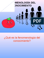 01 La Fenomenología Del Conocimiento