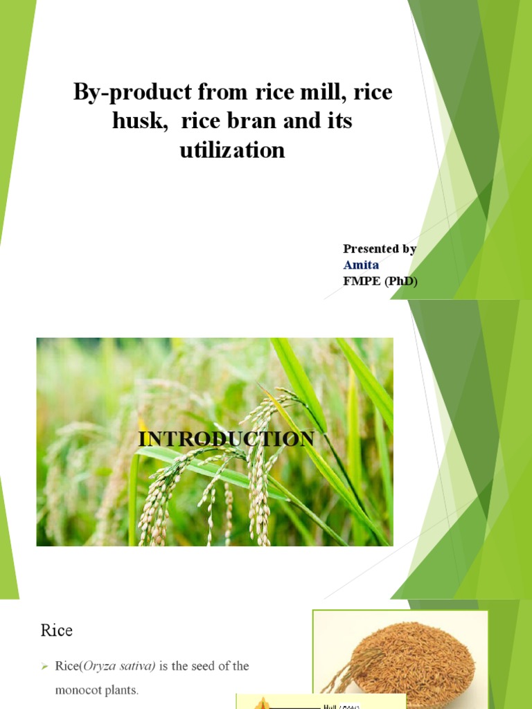 Utilization of Rice By-Products | PDF | Oil | Rice