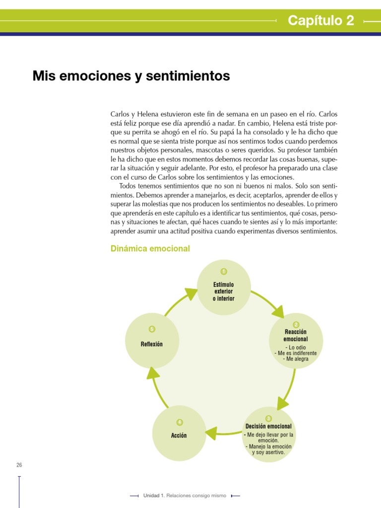 Manejo de Emociones y Sentimientos | PDF | Las emociones | Ira