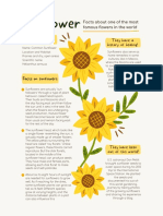Yellow Organic Natural Sunflower Biology Worksheet