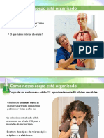 Aula - 8 Ano - Como - Nosso - Corpo - Esta - Organizado