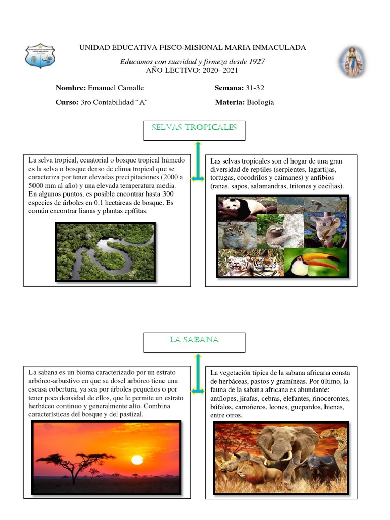 Biomas del Mundo: Selvas y Desiertos | PDF | Desierto | Ecorregiones