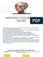 Anatomía facial: huesos, músculos y funciones