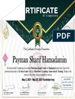 Payman Sharif Hamadamin - Photoshop