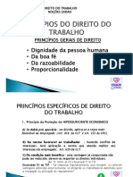 QUINTA 13-05 PRINCIPIOS DO DTI