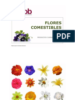 Flores Comestibles - Escuela de Hosteleria de Barcelona