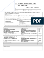 Pauta de Evaluación ZAPEN