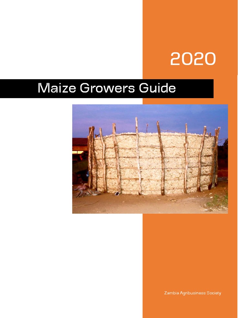 A Comprehensive Guide to Improving Maize Production in Zambia