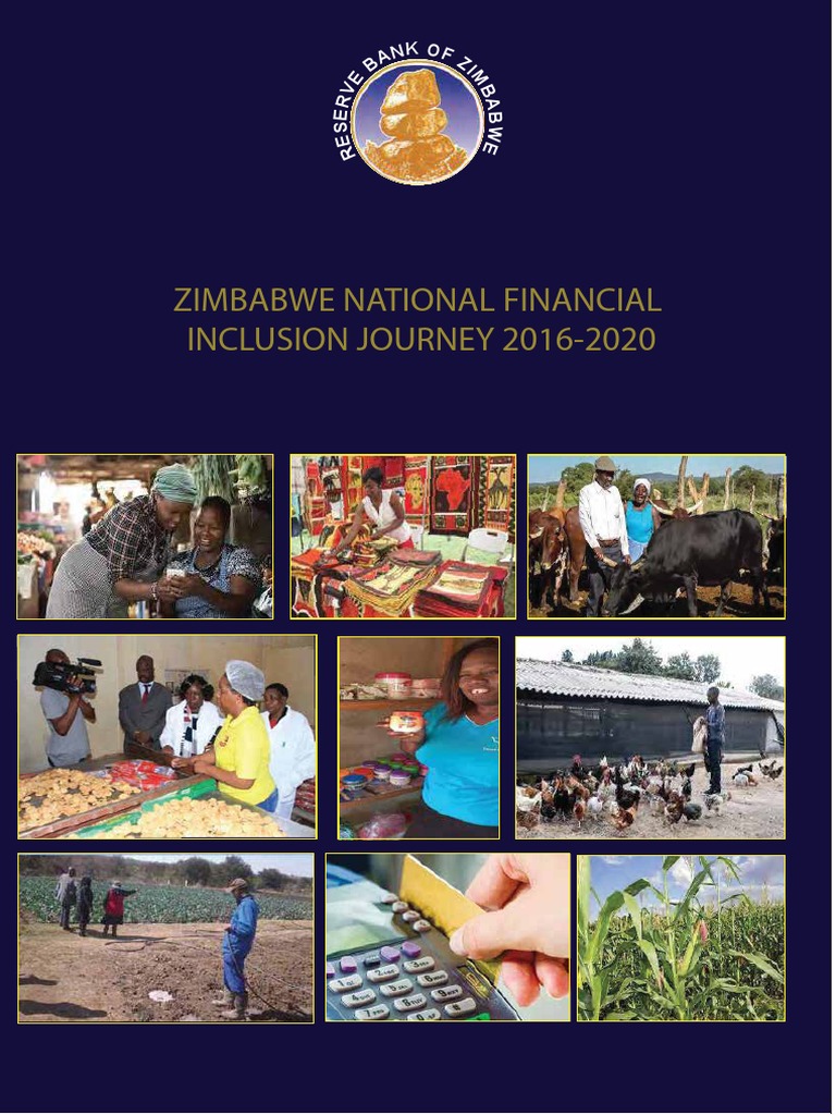 Zimbabwe Financial Inclusion Strategy 2016-2020 | PDF | Financial ...