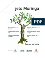 Moringa A Arvore Da Vida