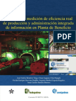 Modelo para Medición de Eficiencia Real de Producción y Administración Integrada de Información en Planta de Beneficio