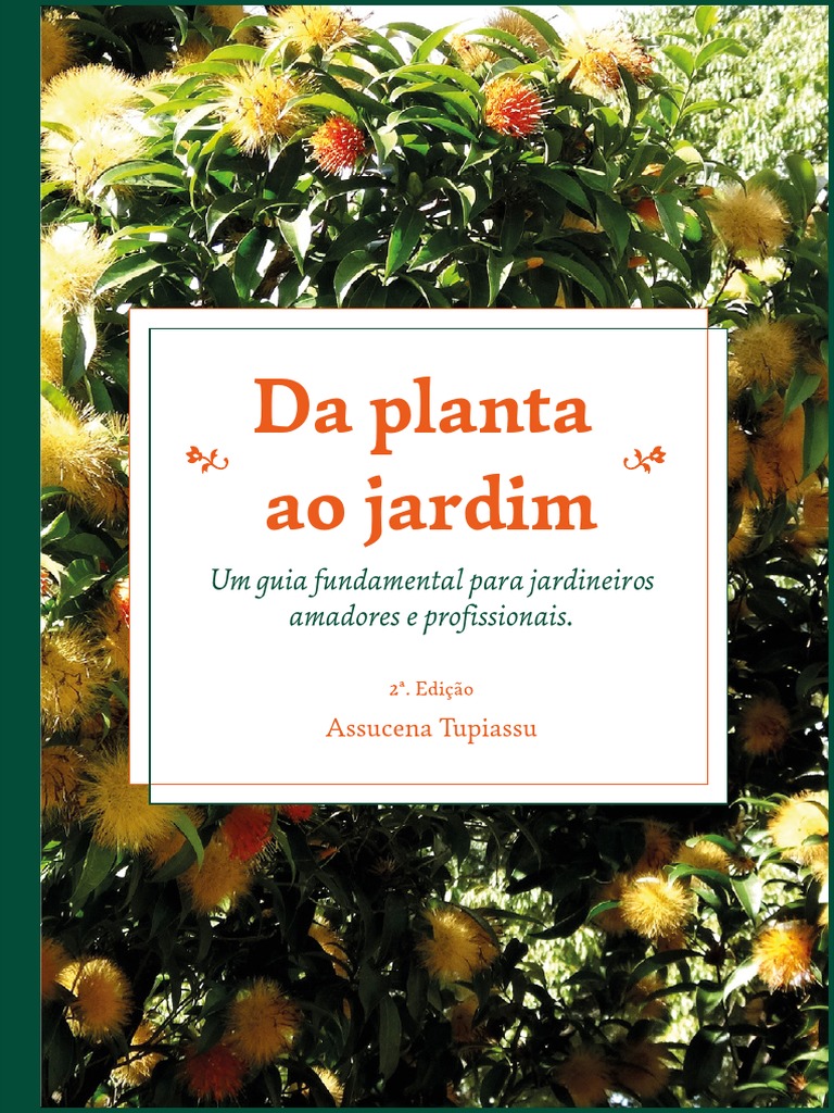 Dama da Noite Arbustos AMK - Jardinagem e Paisagismo