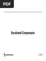 (PDF, 840kB) - Burckhardt Compression | PDF | Natural Gas | Gases
