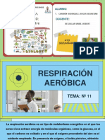 Cuaderno Biologia 2do Bimestre - Carrion Rodriguez Roger