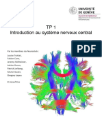 Introduction Au Systeme Nerveux Central - TP 1 2017