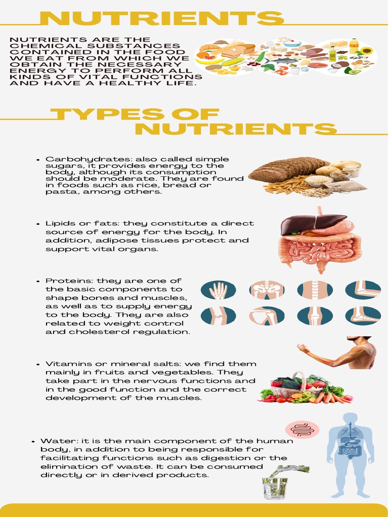 Nutrients | PDF | Lifestyle