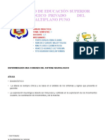 Instituto de Educación Superior Tecnológico Privado Del Altiplano Puno