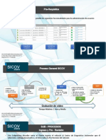 Proceso-SICOV V1.0