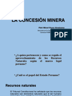 La Concesion Minera 1