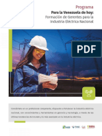 VOLANTE_programa_industria eléctrica nacional - Copia