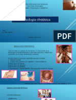 Presentacion Semiologia Obstétrica