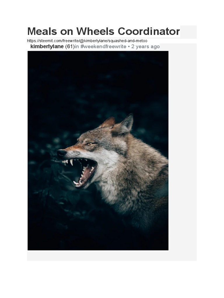 Meals On Wheels Coordinator by Kimberly Lane Hazel O'bryant PDF