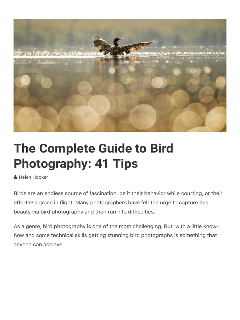 BIRD PHOTOGRAPHY TIPS PDF FIELD GUIDE intelligence overview