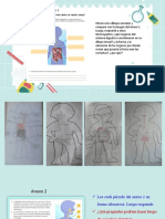 Sistema Digestivo-2.tarea