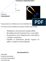 Bio Magnetism o