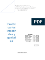 Protozoarios Intestinales y Genitourinarios