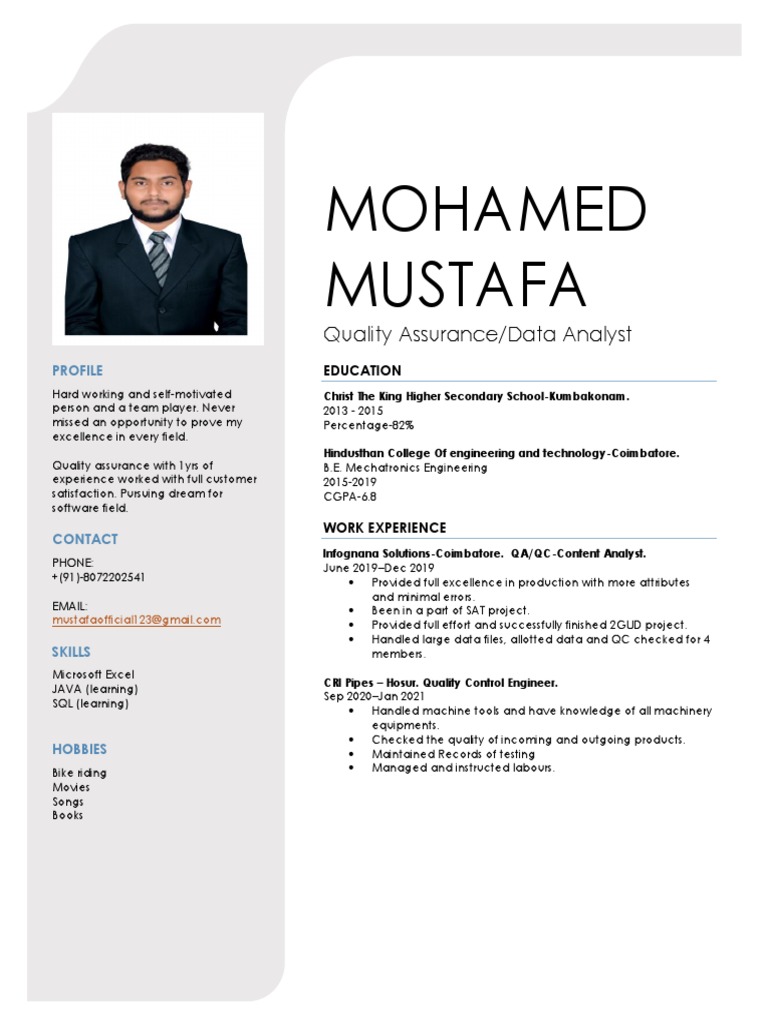 Mohamed Mustafa: Quality Assurance/Data Analyst | PDF | Business