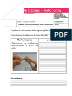 1 - Prim - Ficha de Aprendizaje 01 - Ciencia1 (Autónoma)