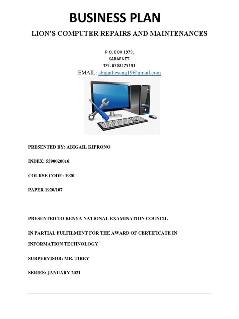 Lion's Computer Repair | PDF | Balance Sheet | Working Capital