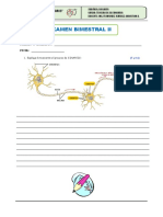 Examen Bimestral II (1)