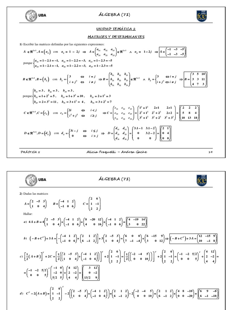 Matrices y Determinantes Práctica II | PDF