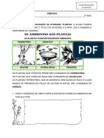 2º ANO CIÊNCIAS - Plantas