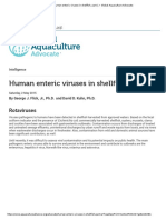 Human Enteric Viruses in Shellfish 1